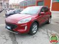 usato FORD Kuga