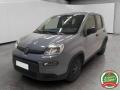 usato FIAT Panda