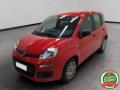 usato FIAT Panda