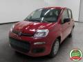 Km 0 FIAT Panda