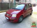 usato FIAT Panda