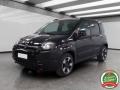 usato FIAT Panda