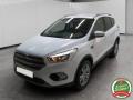 usato FORD Kuga