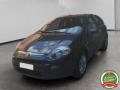 usato FIAT Punto Evo