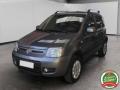 usato FIAT Panda