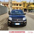 usato FIAT Panda