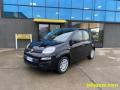 usato FIAT Panda