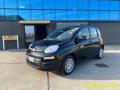 usato FIAT Panda