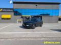 usato ALFA ROMEO Tonale