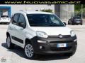 usato FIAT Panda