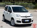 usato FIAT Panda