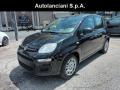 Km 0 FIAT Panda