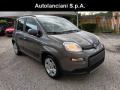 usato FIAT New Panda