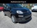 Km 0 FIAT Panda