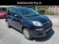 usato FIAT New Panda
