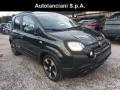 usato FIAT Panda