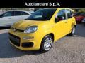 usato FIAT New Panda