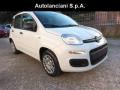 usato FIAT Panda
