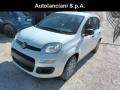 usato FIAT Panda