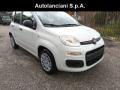 usato FIAT Panda