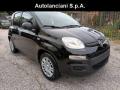 usato FIAT Panda
