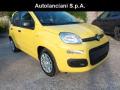 usato FIAT Panda