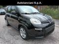 usato FIAT Panda