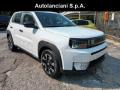 usato FIAT Grande Panda