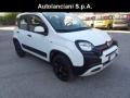 usato FIAT Panda