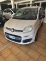 usato FIAT Panda
