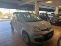 usato FIAT Panda
