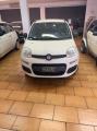 usato FIAT Panda
