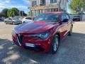 usato ALFA ROMEO Stelvio