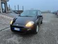 usato FIAT Punto