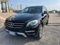 usato MERCEDES ML 250