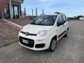 usato FIAT Panda