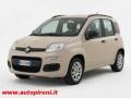 usato FIAT Panda