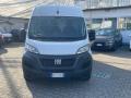 usato FIAT Ducato