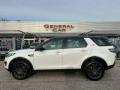 usato LAND ROVER Discovery Sport