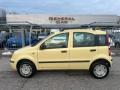 usato FIAT Panda