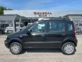usato FIAT Panda