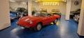 usato ALFA ROMEO Spider
