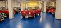 usato ALFA ROMEO Spider