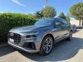 usato AUDI Q8