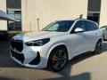 usato BMW X1