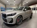 usato BMW X1