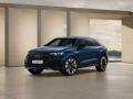 usato AUDI Q8