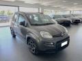 usato FIAT Panda