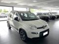 usato FIAT Panda