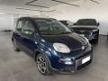 usato FIAT Panda
